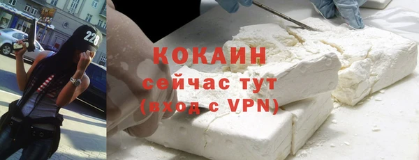 дживик Белокуриха