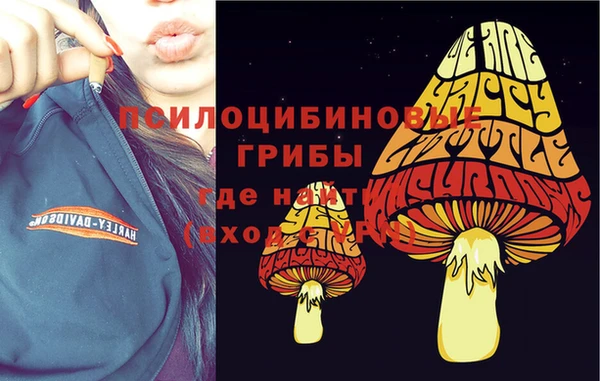 дживик Белокуриха