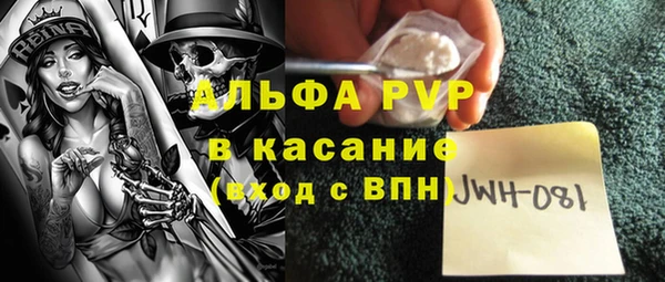 дживик Белокуриха