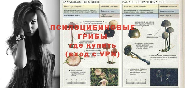 гашик Белоозёрский